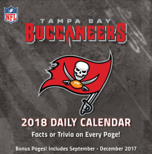 Turner 2018 NFL Tampa Bay Buccaneers Box Calendar