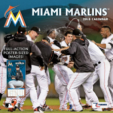 Turner 2018 MLB Miami Marlins Wall Calendar