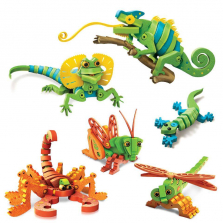 Bloco Insects and Lizards Scholastic Set