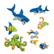 Bloco Marine Creatures Scholastic Set