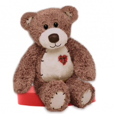 First & Main 15 inch Plush Tender Teddy Bear - Brown