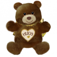 First & Main 15 inch Plush Hugsie Bear- Brown
