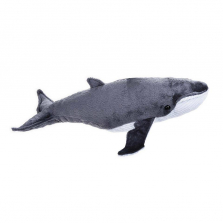 National Geographic Lelly Plush - Whale