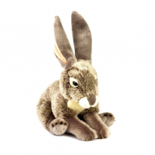 National Geographic Stuffed Jack Rabbit - Brown