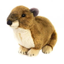 National Geographic Stuffed Dassie - Brown/Tan