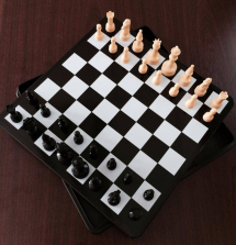 Pavilion Games Self Storing Chess Set