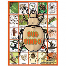 Bug Bingo Game