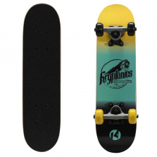 Kryptonics 22 inch Locker Board Skateboard - Classic