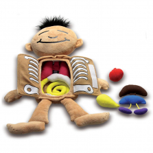 Roylco What's Inside Me Doll