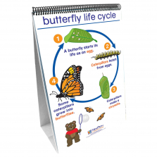 Science Readiness Butterfly Life Cycle Flip Chart Set