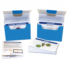 Life Science Vocabulary Builder Flash Card Set