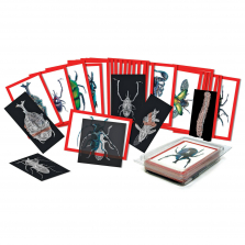 Roylco Insect X-Rays and Picture Cards Set