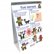 Science Readiness Five Senses Flip Chart Set