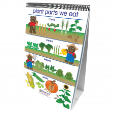 Early Childhood All About Plants Science Flip Chart Set
