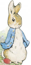 Peter Rabbit All About Peter Board Book