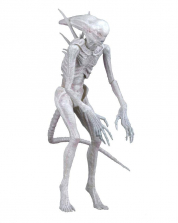 NECA Alien: Covenant 7 inch Scale Action Figure - Neomorph