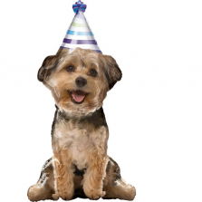 Party Pup Airwalker Foil Party Balloon