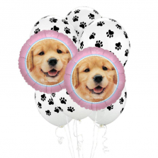 Rachael Hale Dogs Party Balloon Kit
