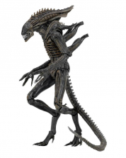 NECA Aliens Series 11 7 inch Scale Action Figure - Defiance Alien