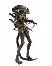 NECA Aliens Series 12 7 inch Action Figure - Xenomorph Warrior Brown (Battle Damaged)