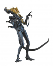 NECA Aliens Series 12 7 inch Action Figure - Xenomorph Warrior Blue (Battle Damaged)