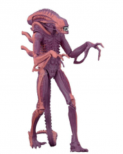 NECA Aliens 7 inch Scale Action Figure - Xenomorph Warrior (Arcade Appearance)