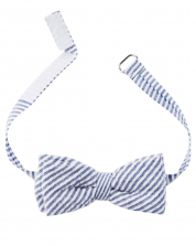 Carter's Boy's Bow Tie