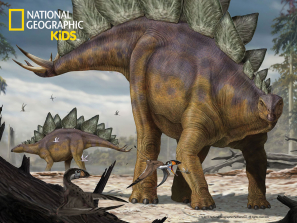 National Geographic Stegosaurus - 100Â pc 3D Puzzle