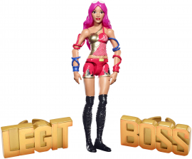 WWE Superstars 6 inch Action Figure Ultimate Fan Pack - Sasha Banks