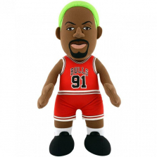 Chicago Bulls Dennis Rodman 10 inch Plush Figure