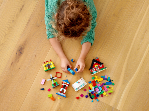 Lego Bricks and Houses 11008