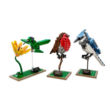 LEGO 21301 Ideas Birds