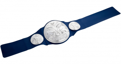 WWE Smackdown Tag Team Championship Title Belt Role Play