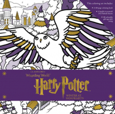 Harry Potter: Winter at Hogwarts A Magical Coloring Set