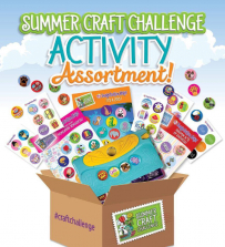 Summer Craft Challenge Activity Assortment! Craft Kit